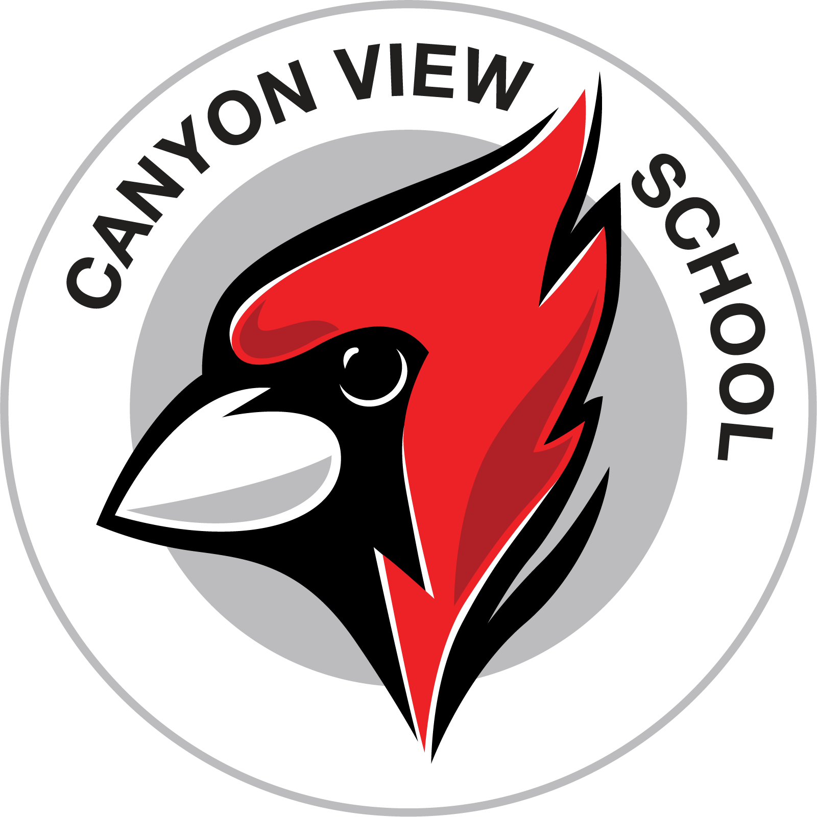CVS Logo