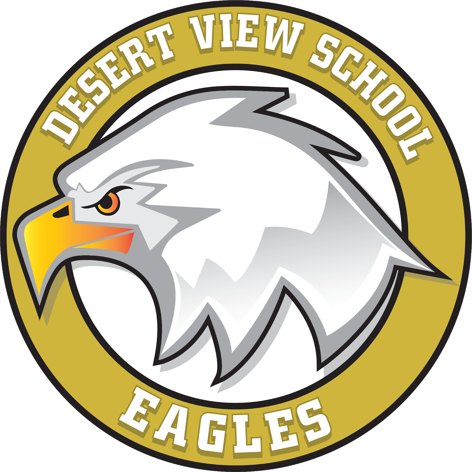 DVS Logo