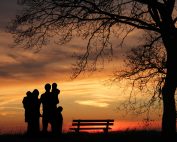 Teenagers in foster care