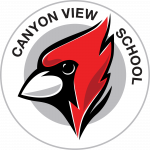 CVS Logo